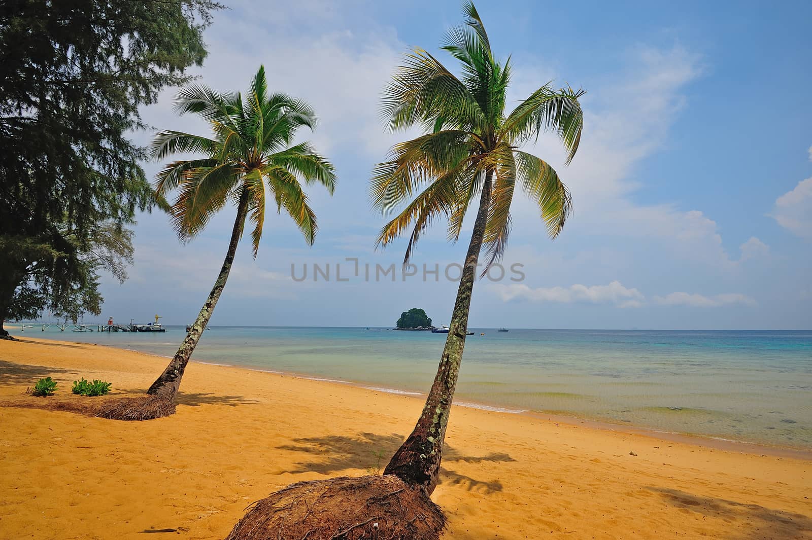 Tioman island, Malaysia by think4photop