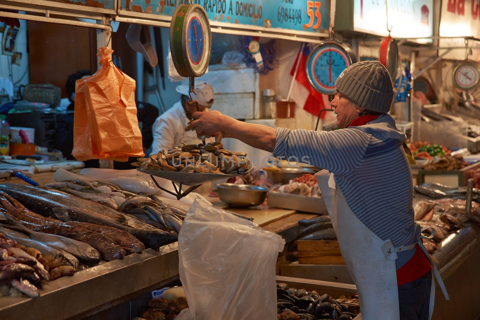 Fresh seafood for sale in the historic main fish market in the centre of Santiago, capital of Chile
