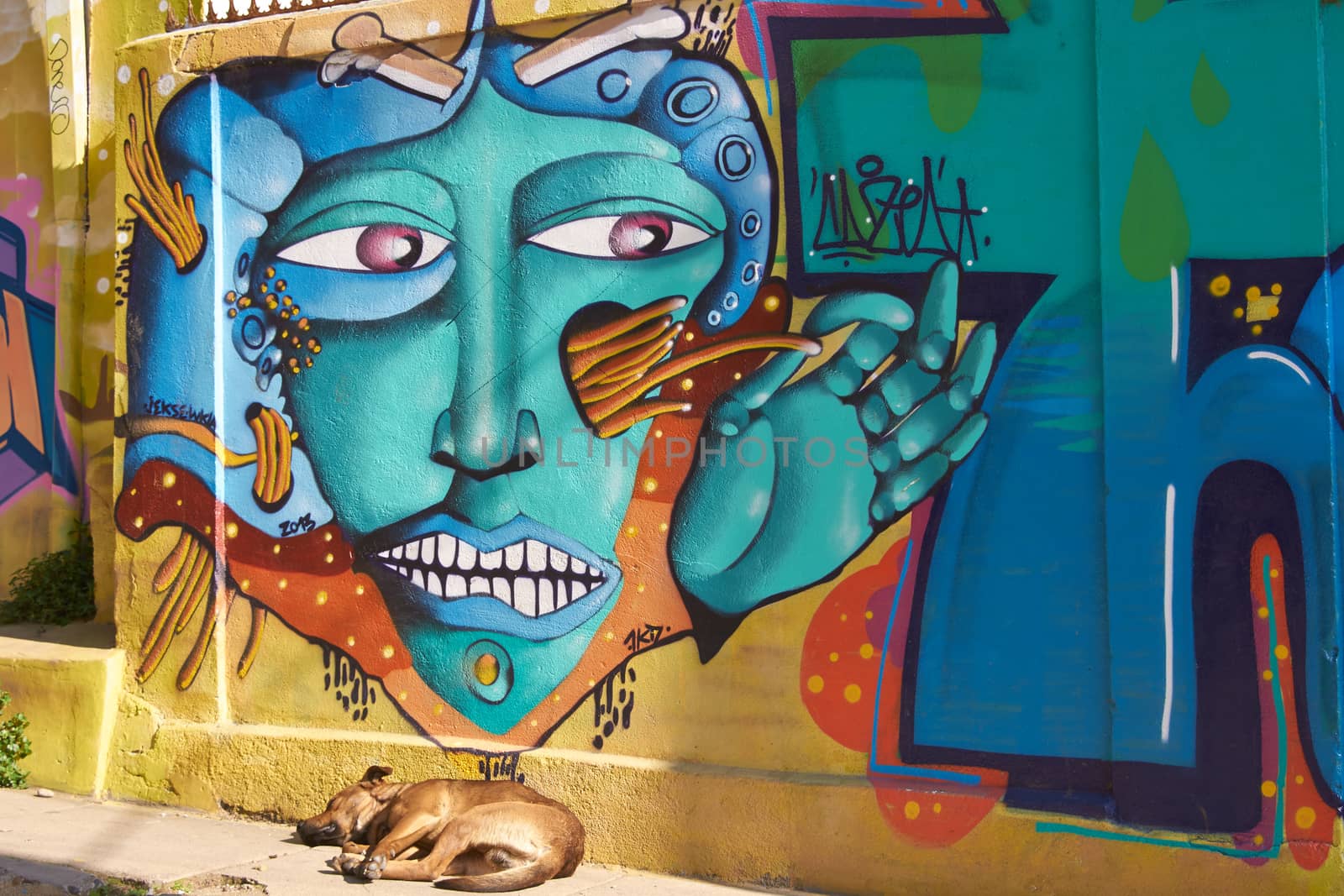Colourful urban art decorating a street in the world heritage city of Valparaiso in Chile