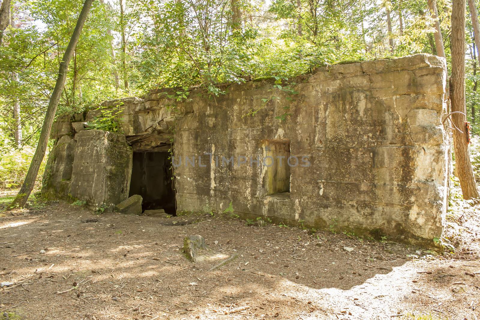 Bunker of world war 1 in flanders fields