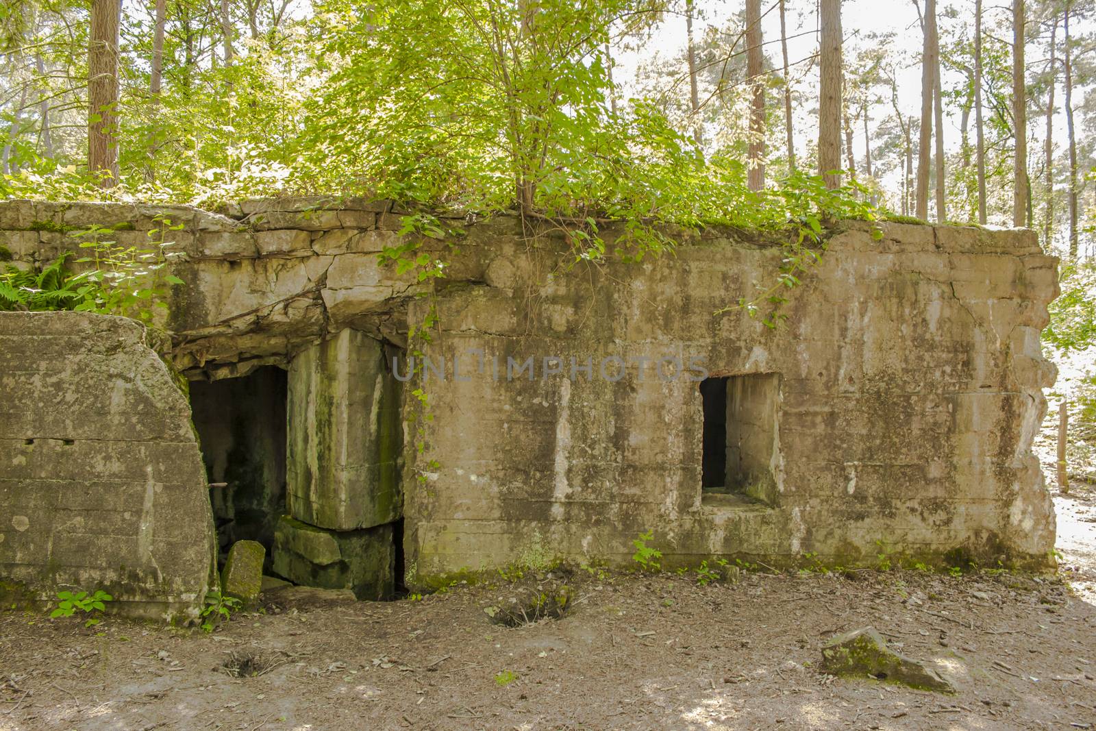 Bunker of world war 1 in flanders fields