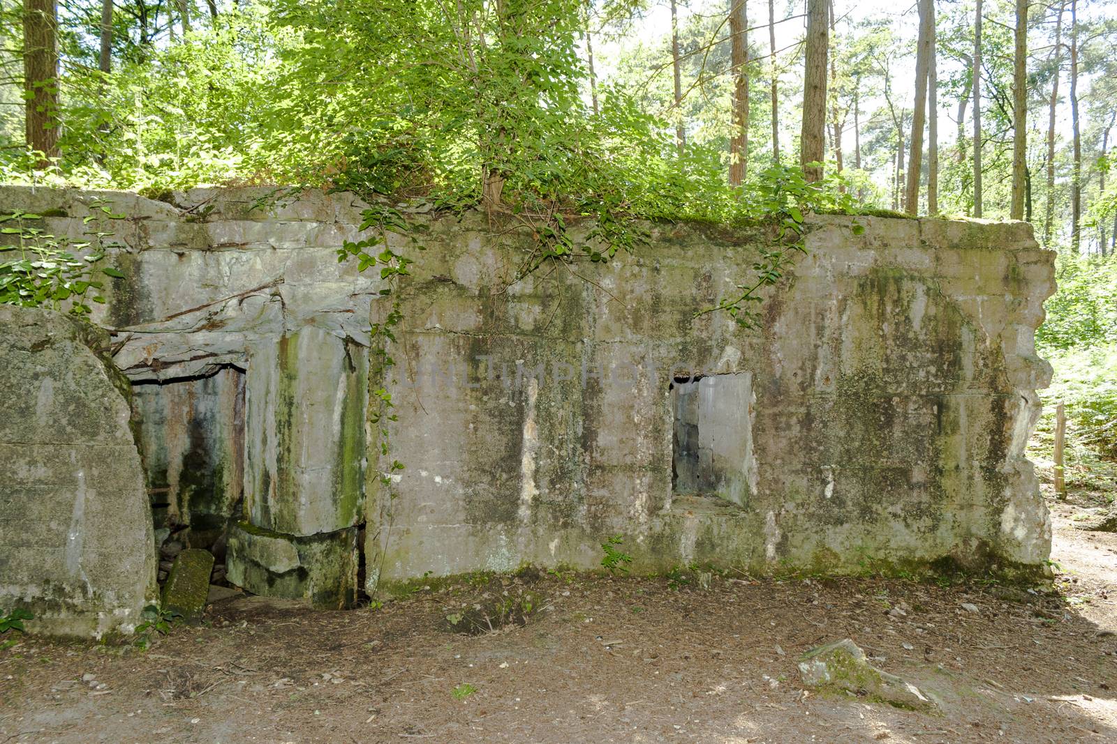 Bunker of world war 1 in flanders fields