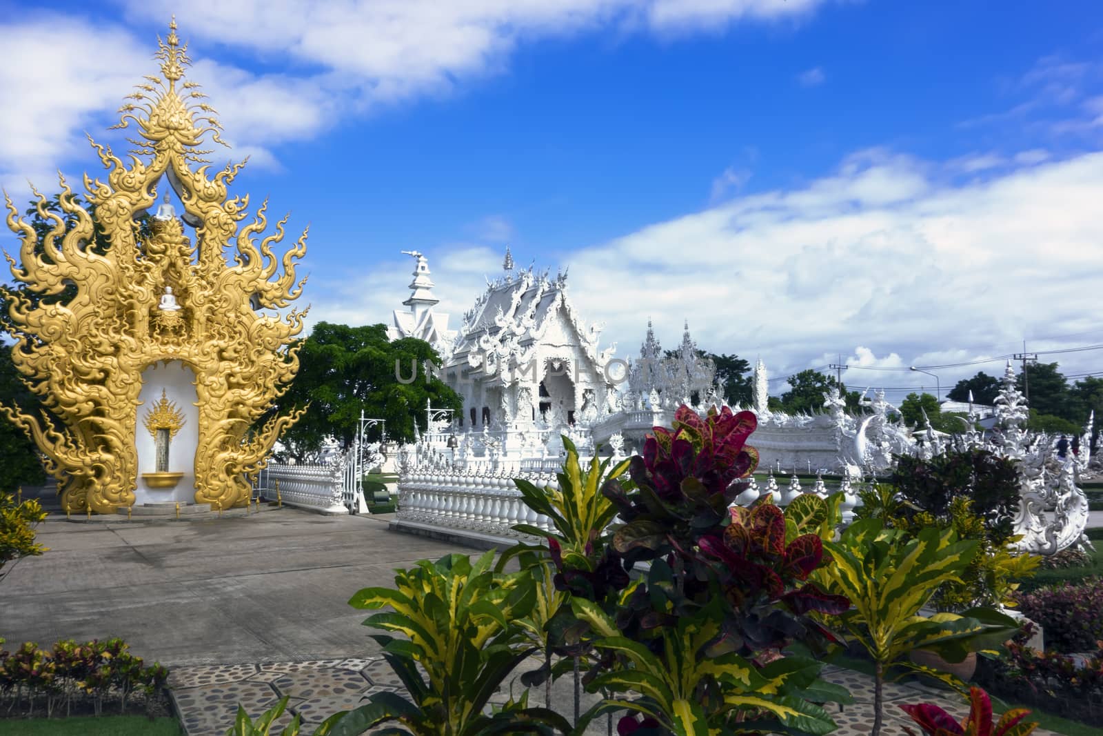 White Temple and Croton. by GNNick