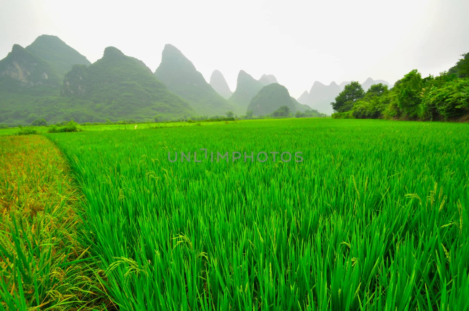 Beautiful Li river side Karst mountain landscape in Yangshuo Guilin, China