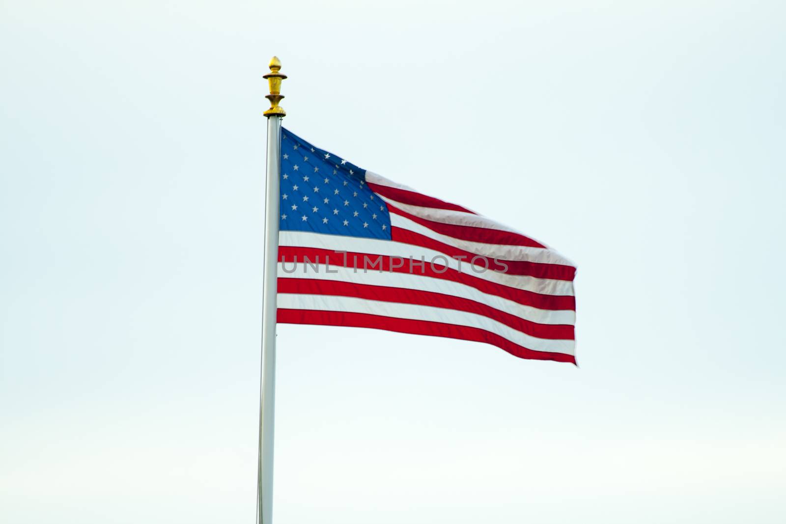 American Flag in Flanders field Belgium Waregem