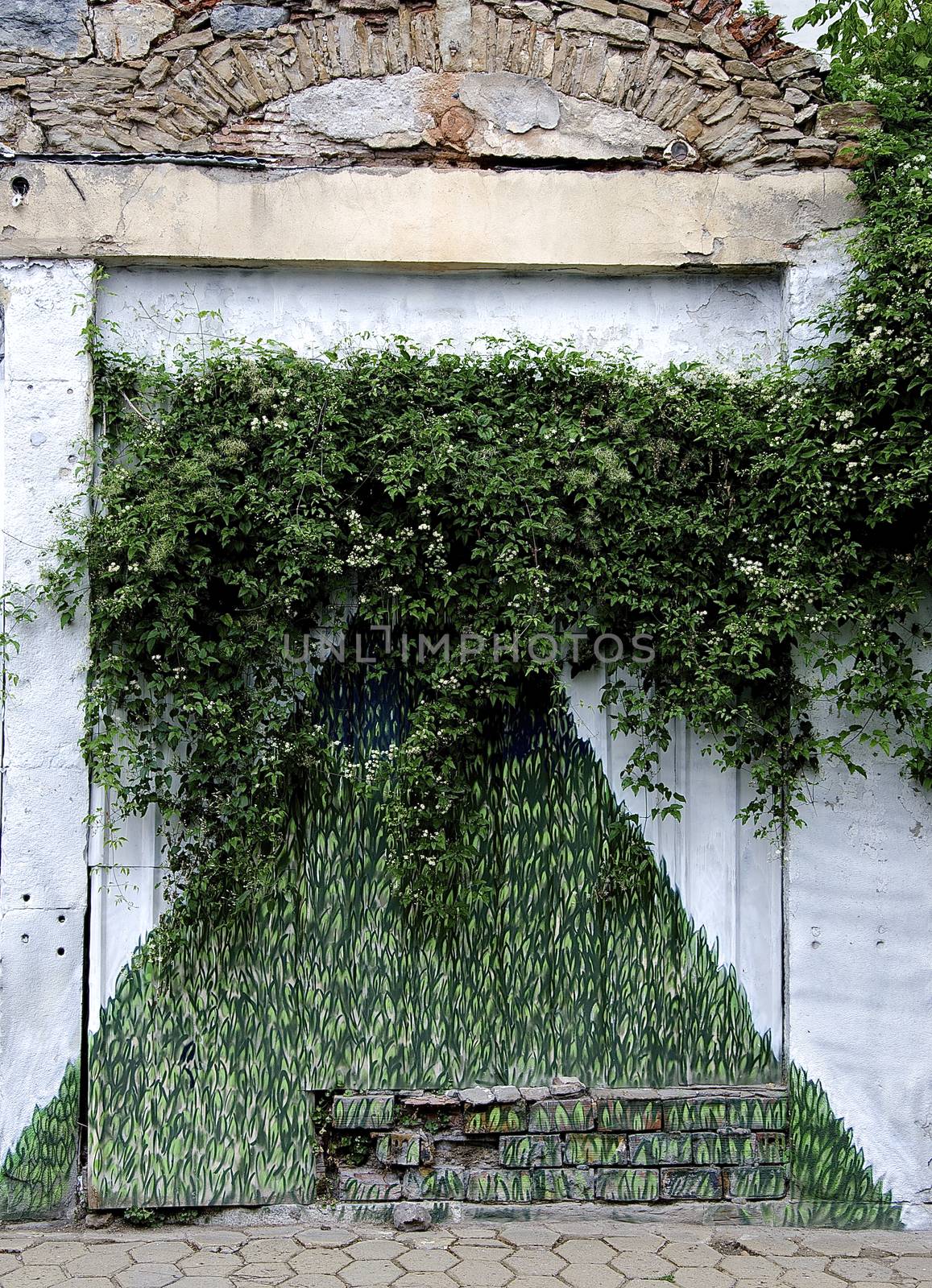 Young art that adorns the outside areas in Veliko Tarnovo 