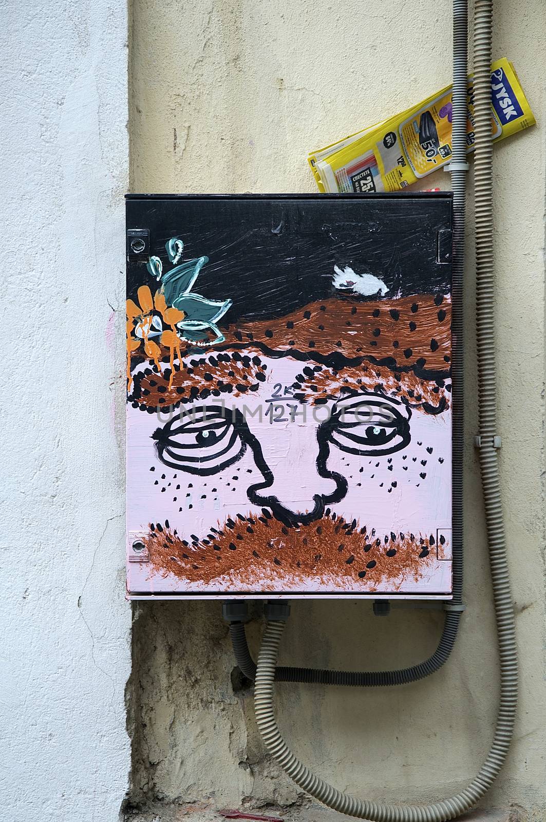 Young art that adorns the outside areas in Veliko Tarnovo 