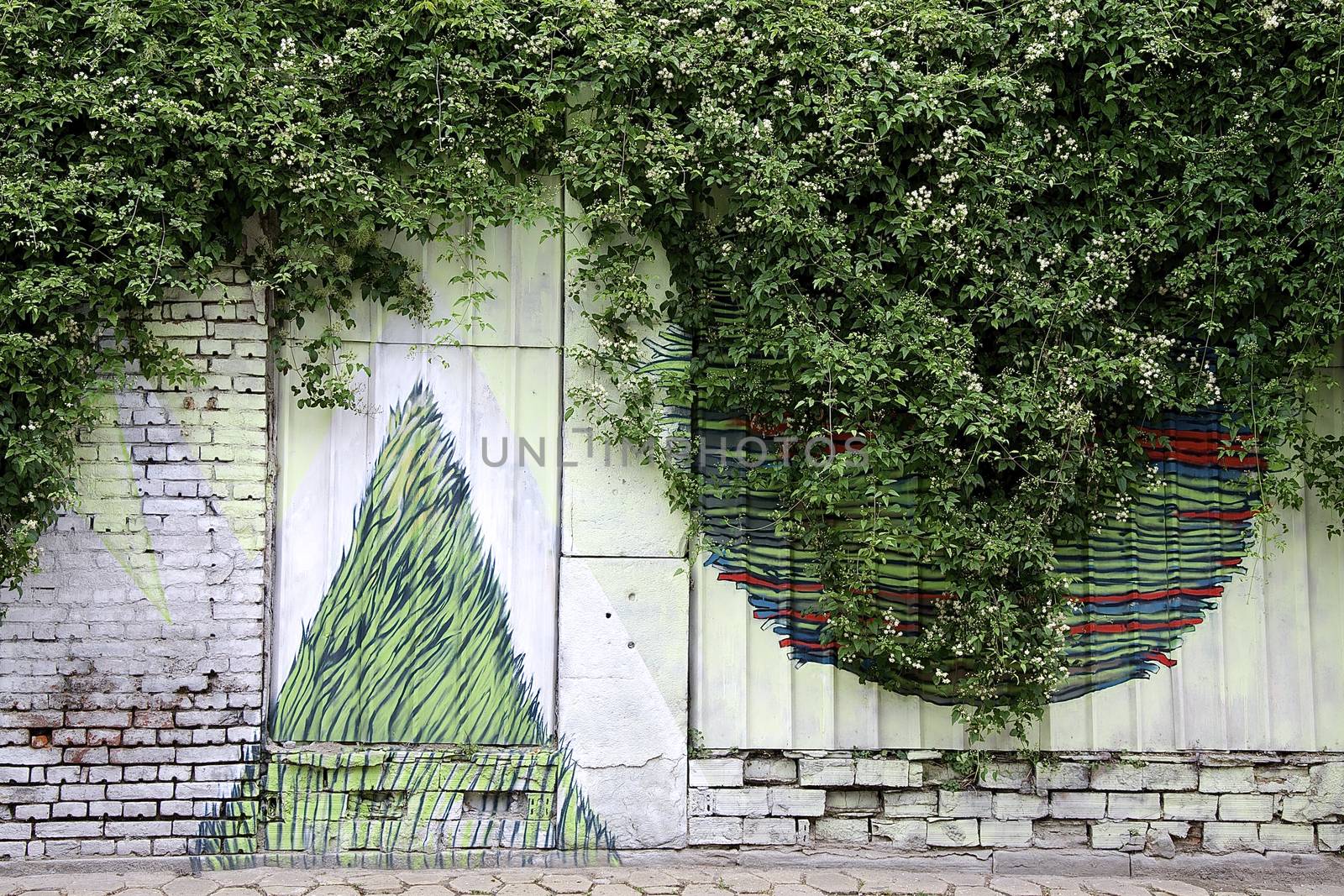 Young art that adorns the outside areas in Veliko Tarnovo 