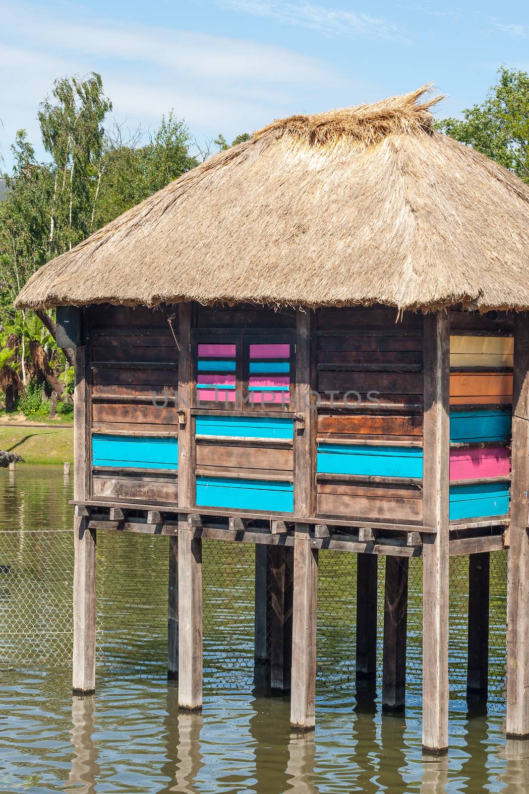 Colorful Stilt village in africa Floating .