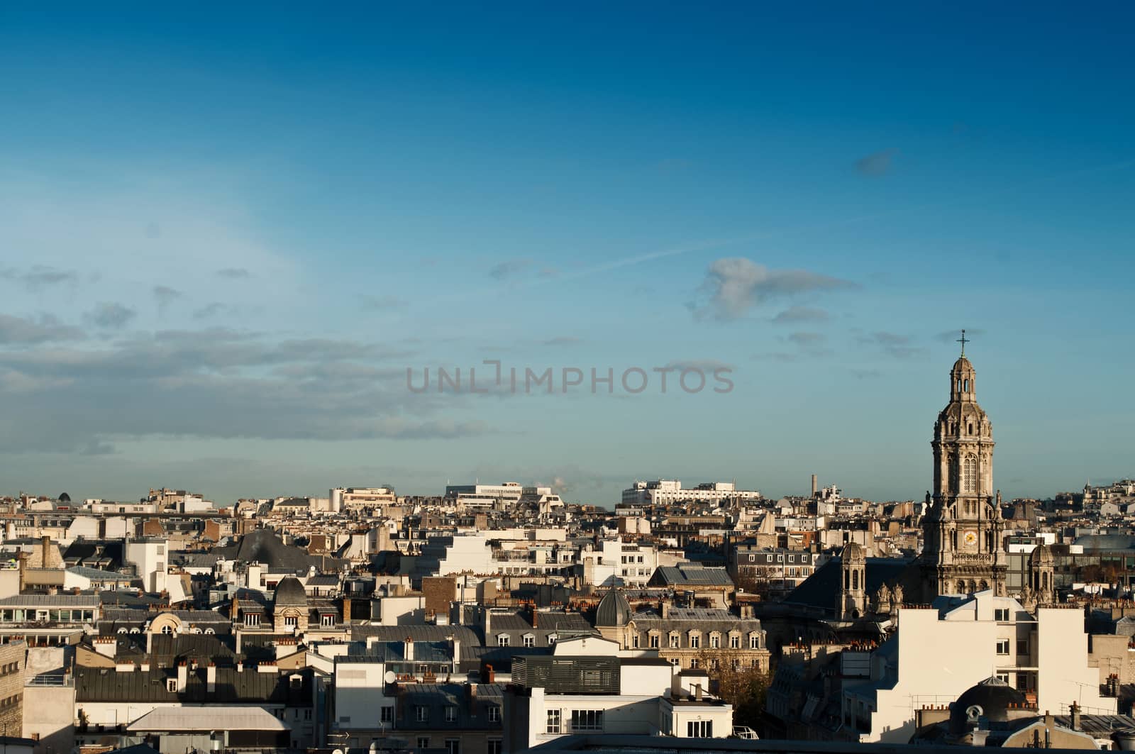 panoramic of Paris by NeydtStock