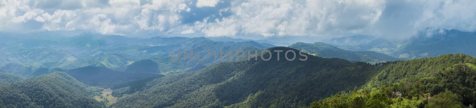 panorama mountain forest and sky.trees and forest cover high mountains.