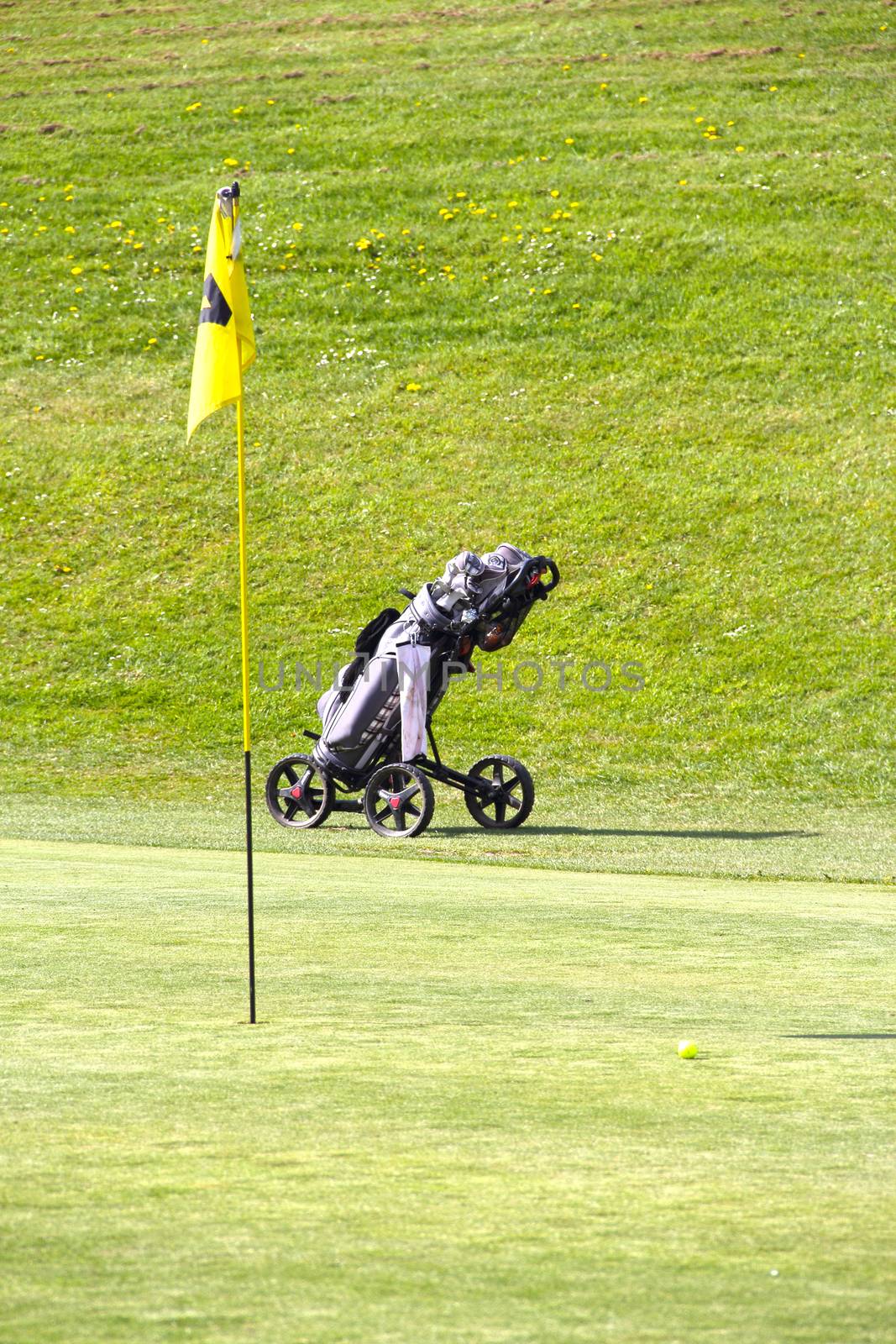 Flag and club trolley the golf field close-up view