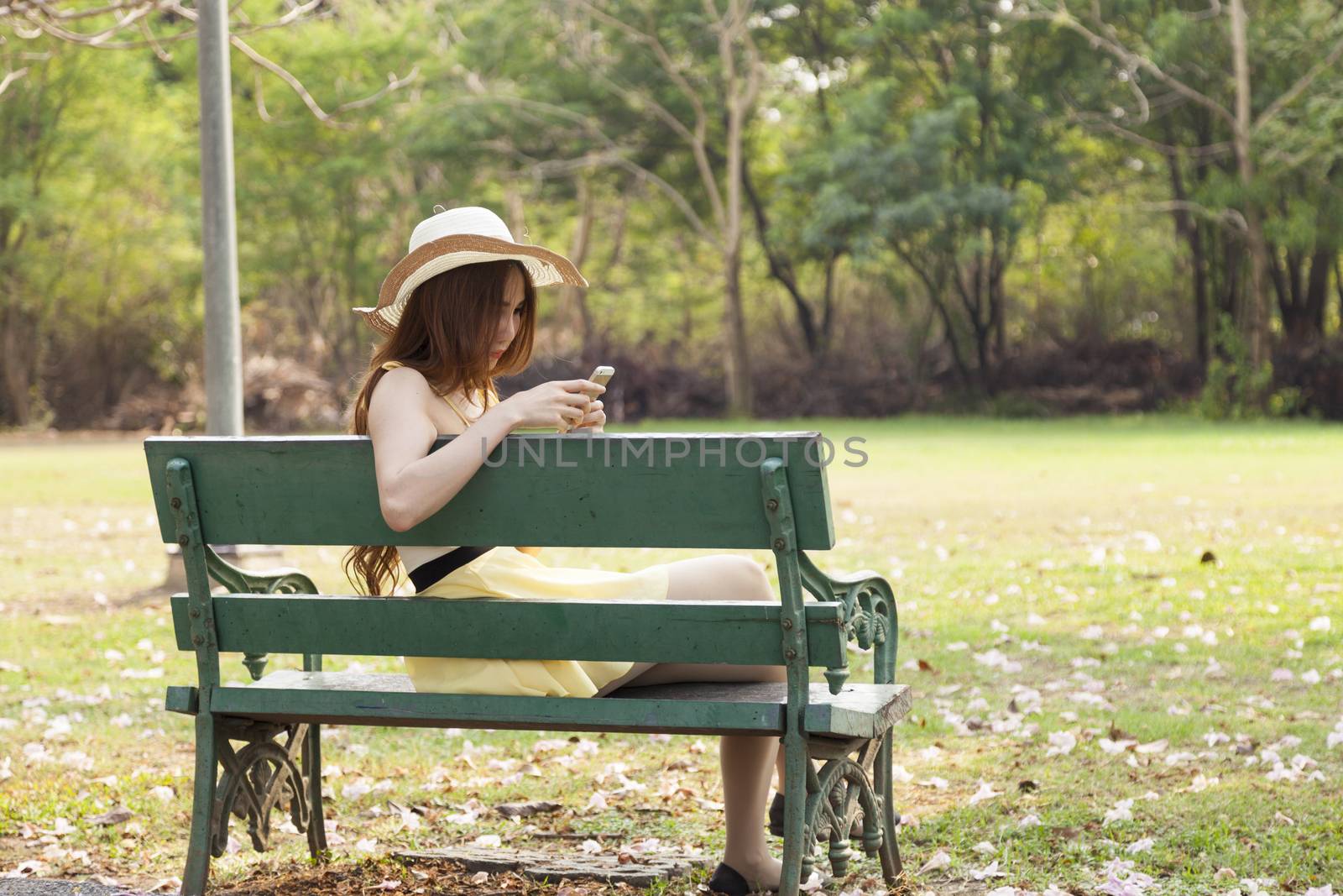 Woman playing smart phone. sitting on a wooden bench on the green grass in the park.