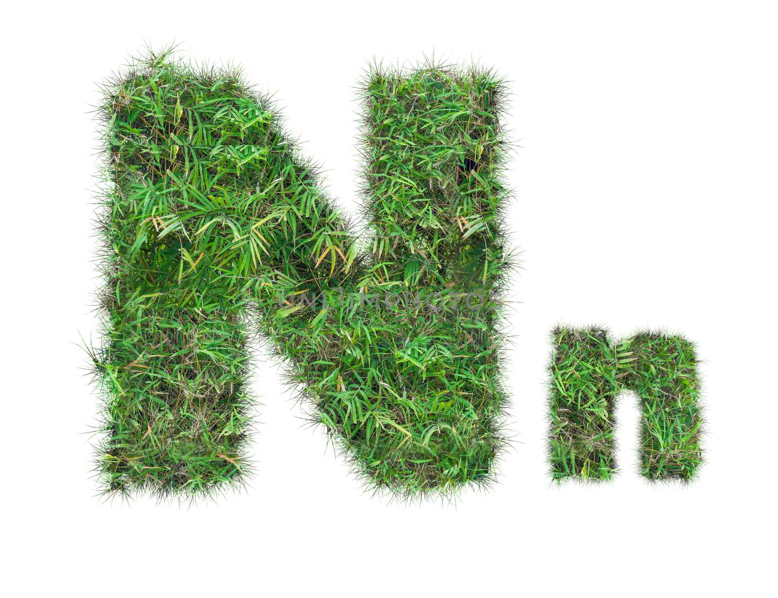 letter N on green grass isolated by Sorapop