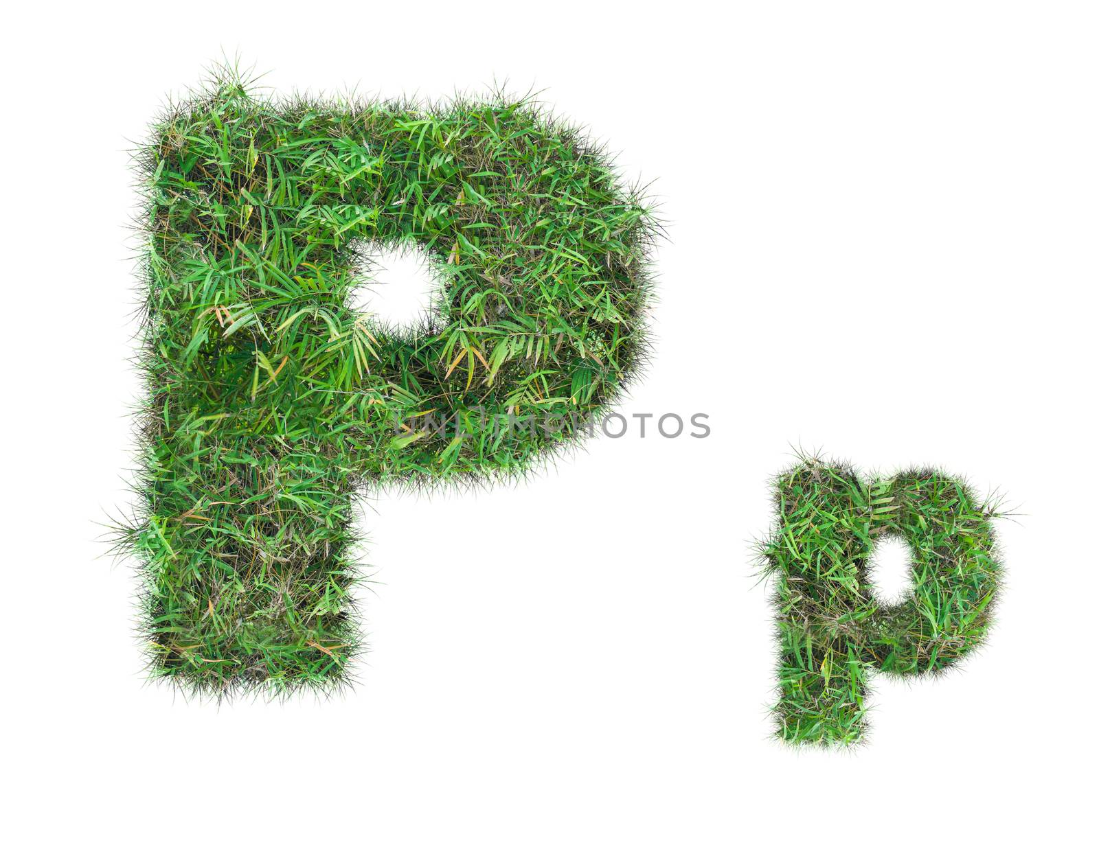 letter P on green grass isolated by Sorapop