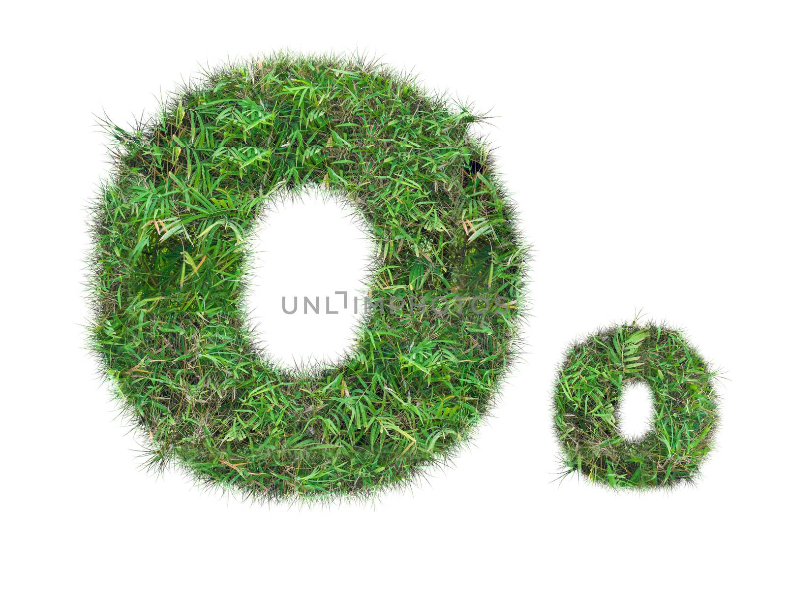 letter O on green grass isolated by Sorapop