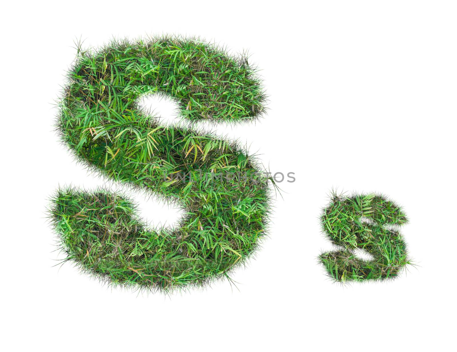 letter S on green grass isolated by Sorapop