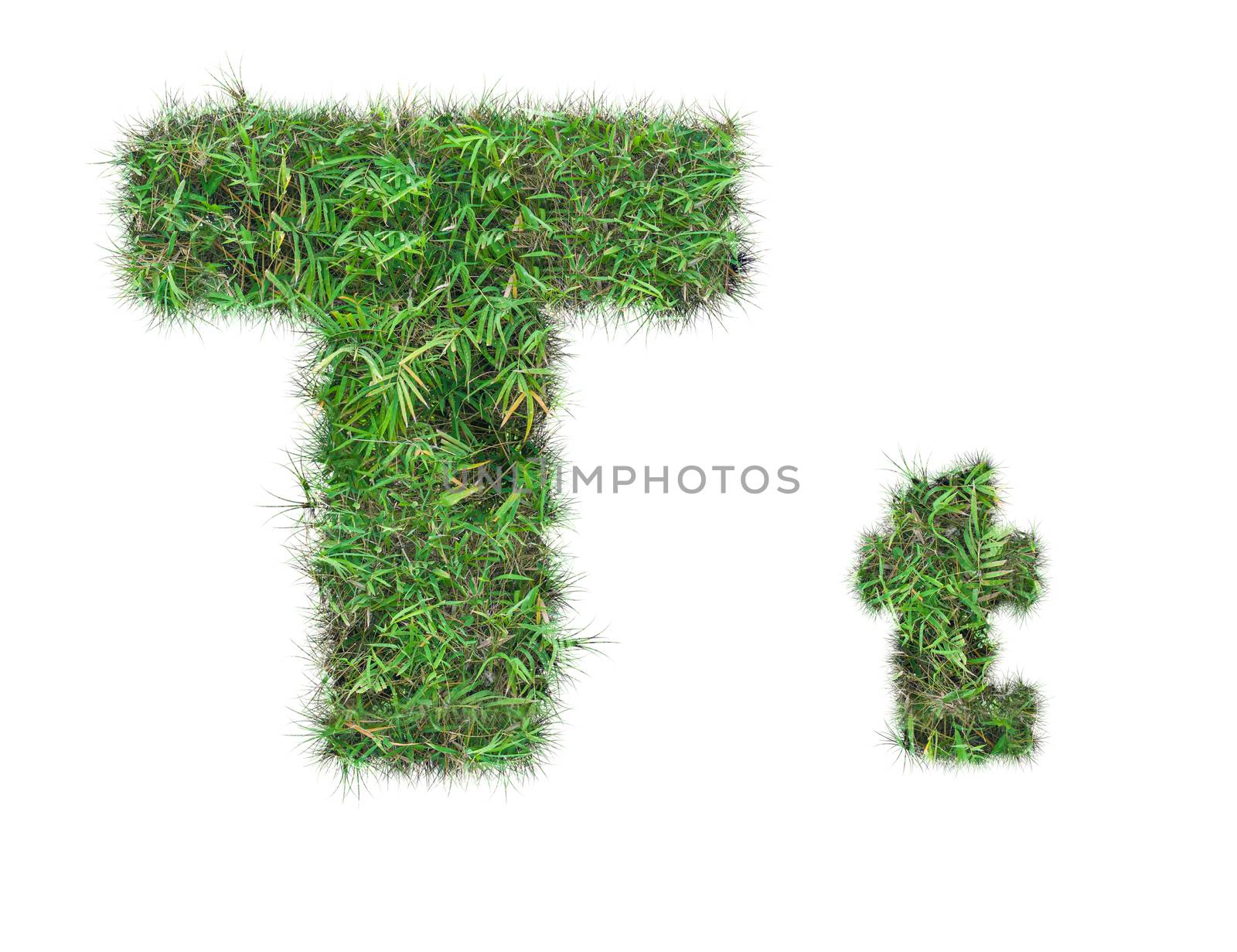 letter T on green grass isolated by Sorapop