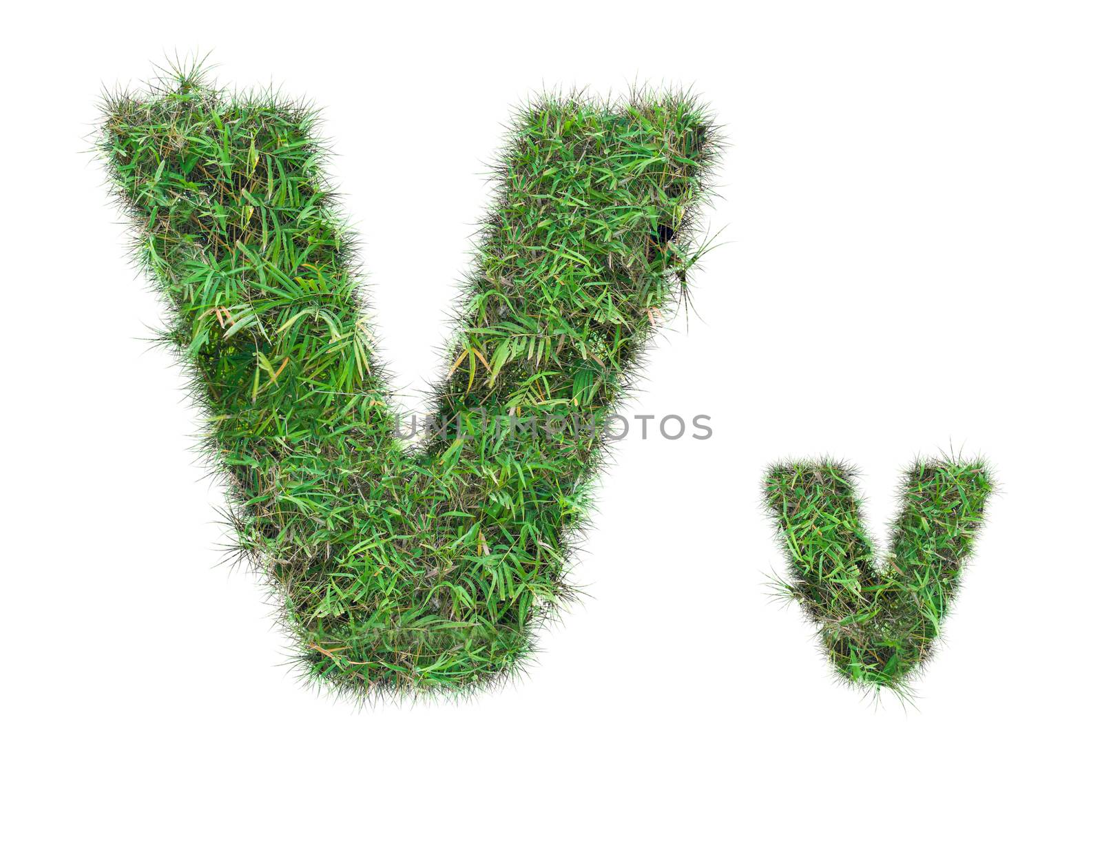 letter V on green grass isolated on over white background