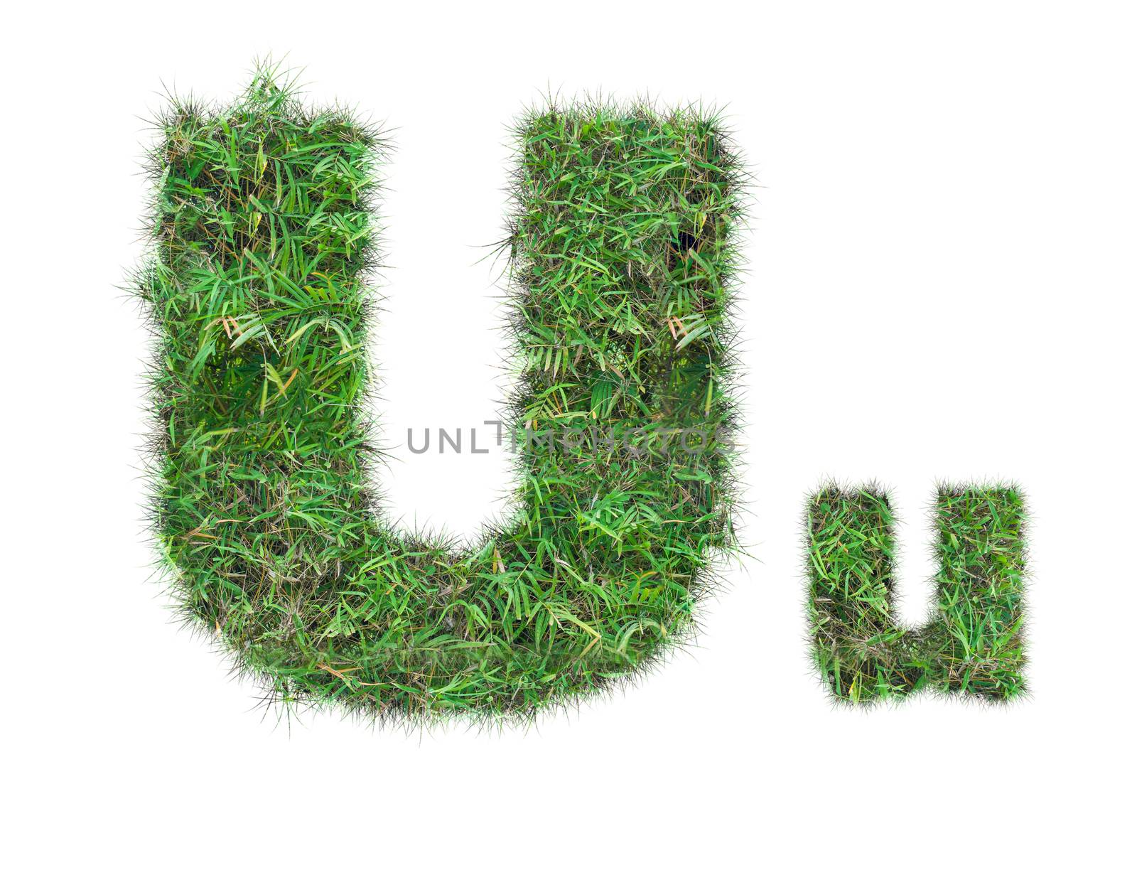 letter U on green grass isolated by Sorapop