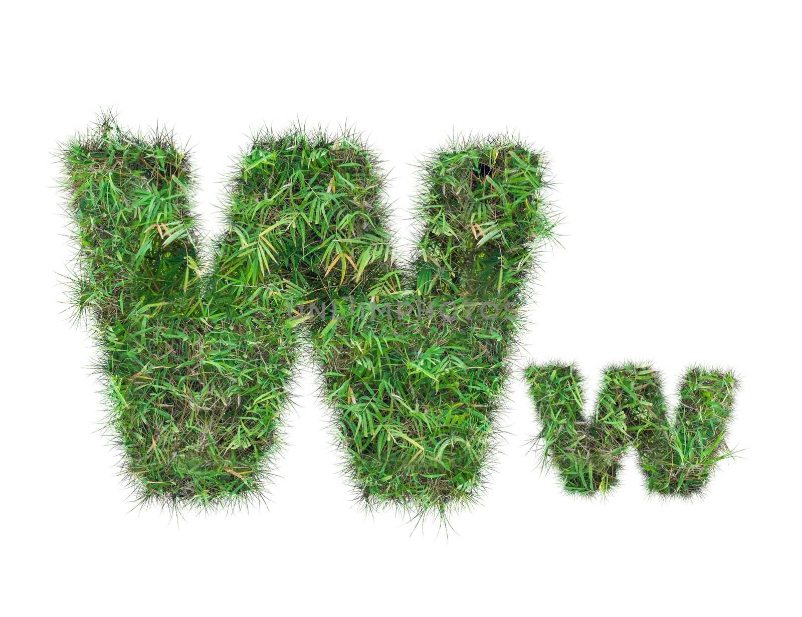 letter W on green grass isolated on over white background