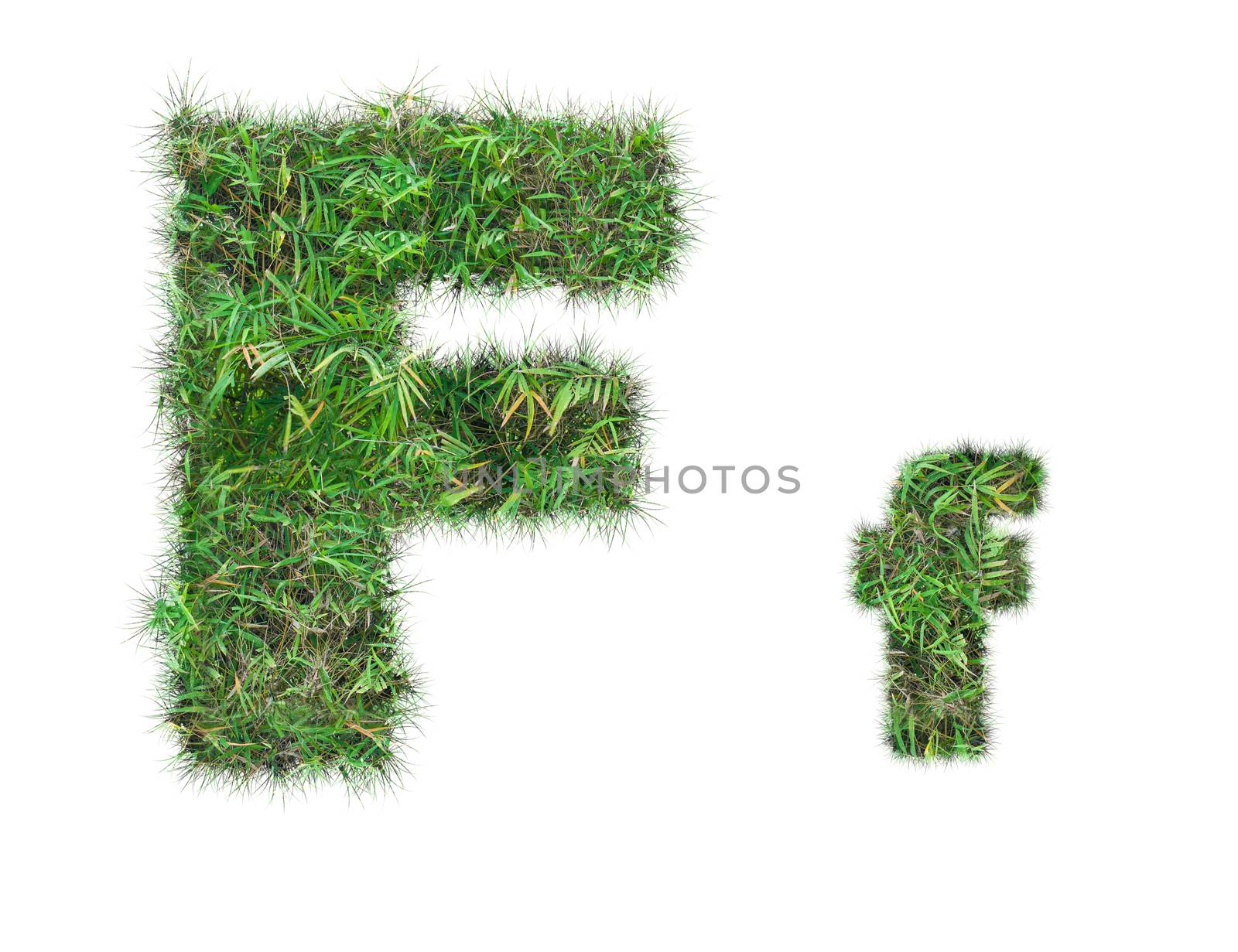 letter F on green grass isolated on over white background