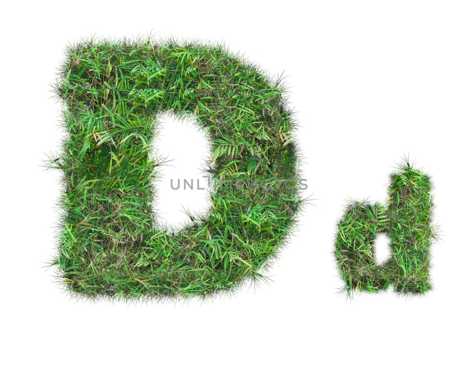 letter D on green grass isolated on over white background
