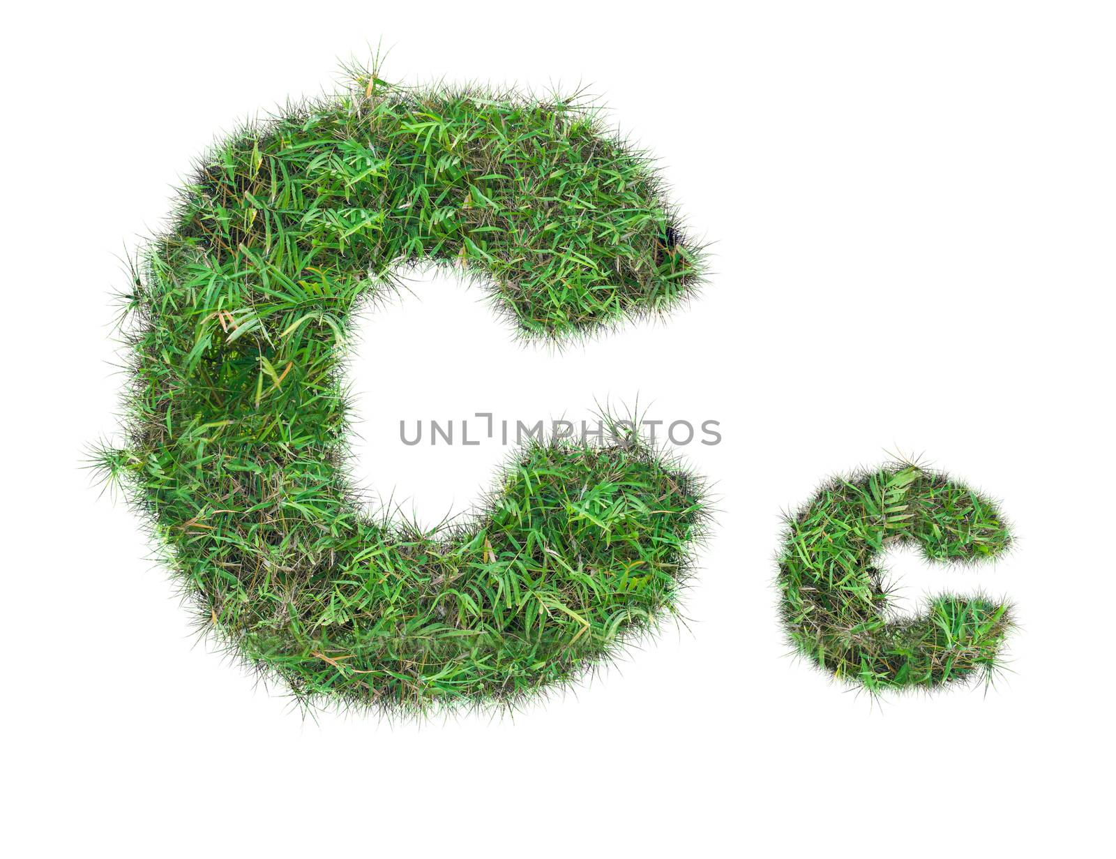 letter C on green grass isolated on over white background