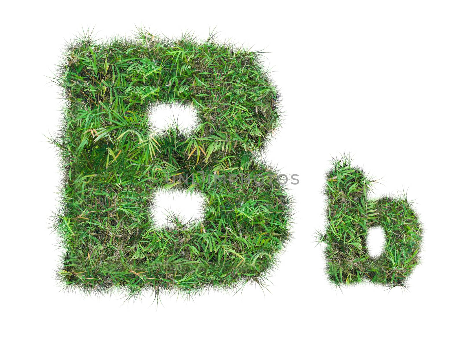 letter B on green grass isolated by Sorapop