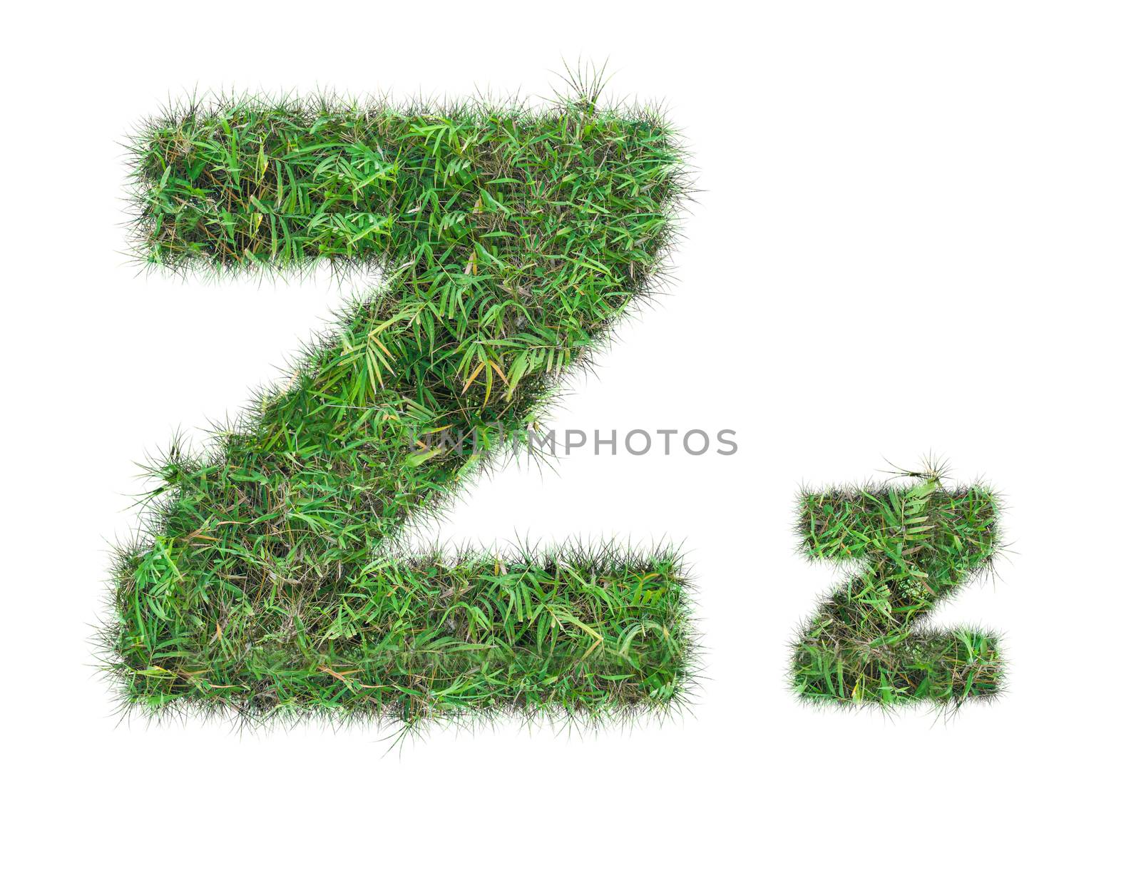 letter Z on green grass isolated by Sorapop