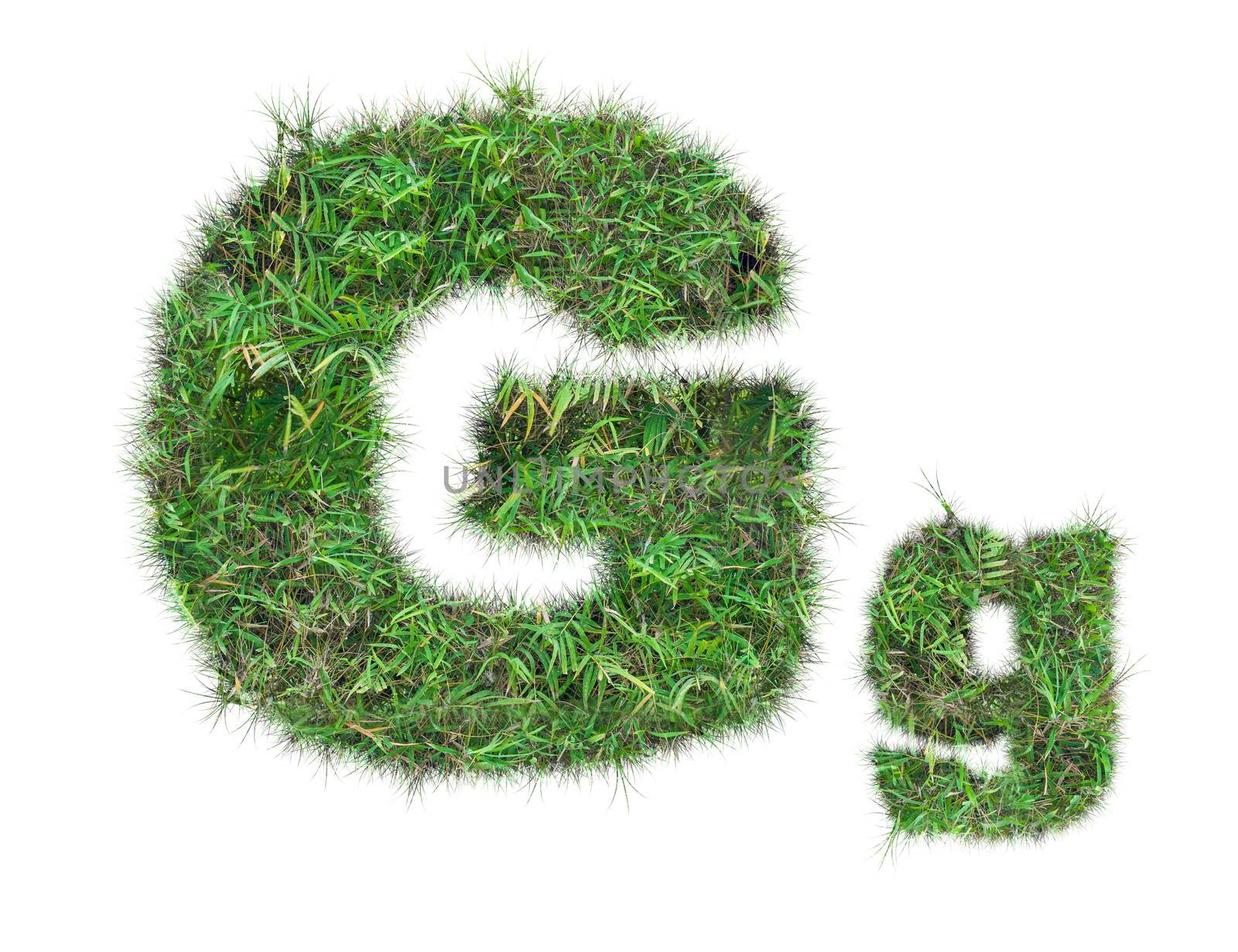 letter G on green grass isolated by Sorapop