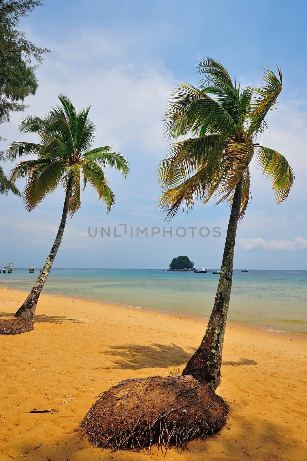 Tioman island, Malaysia