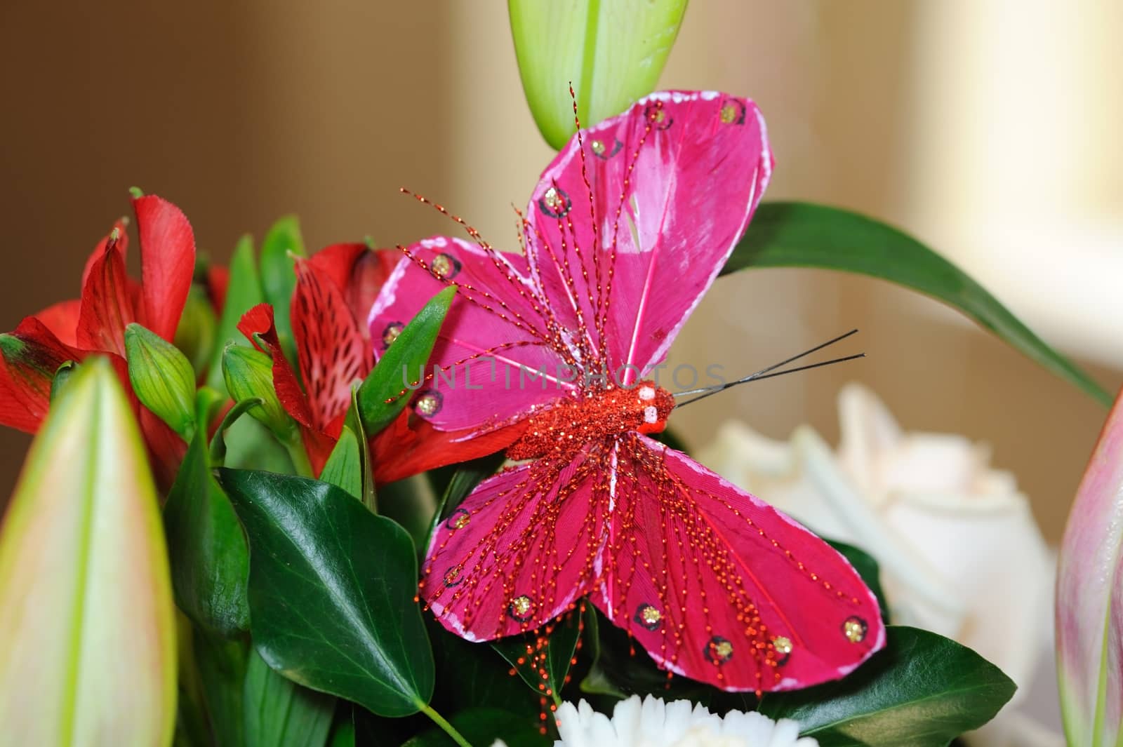 Butterfly decoration at wedding. by kmwphotography