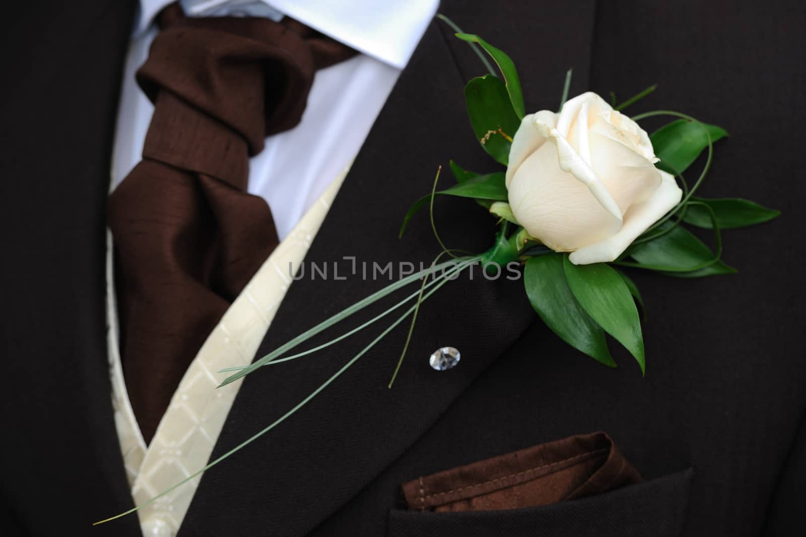 Closeup of grooms rose and cravat.