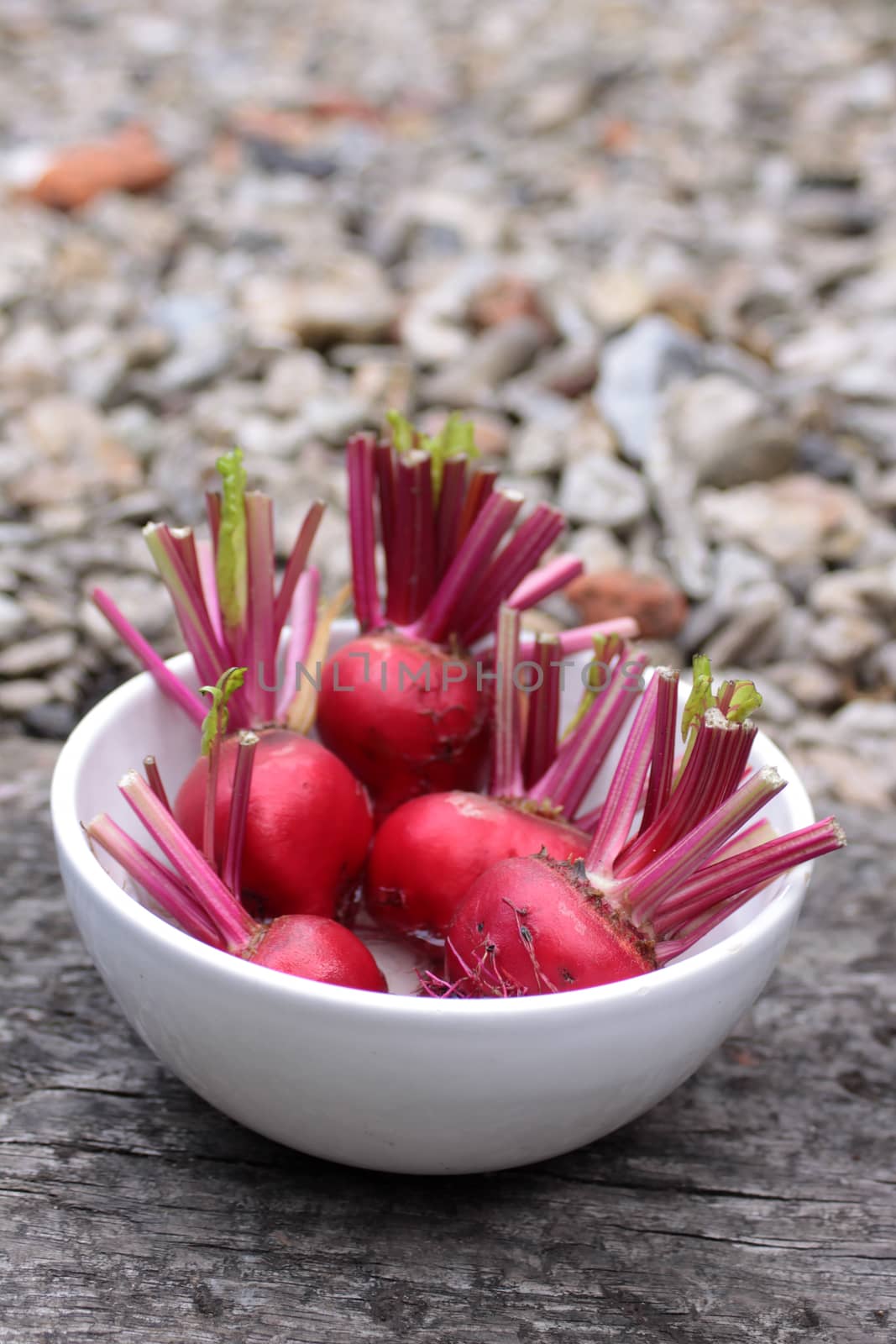 Beets in a Bowl by naffarts2