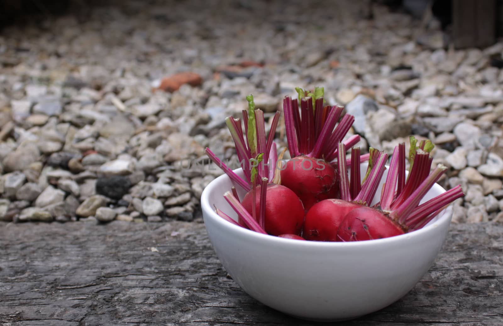Beetroot in a Bowl by naffarts2