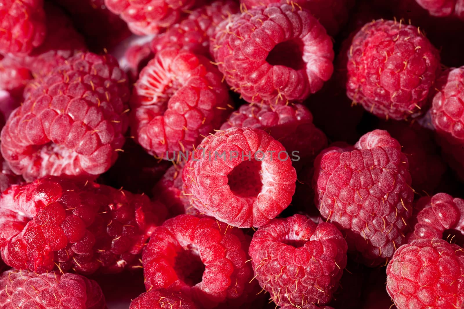 group of red rasberries close up