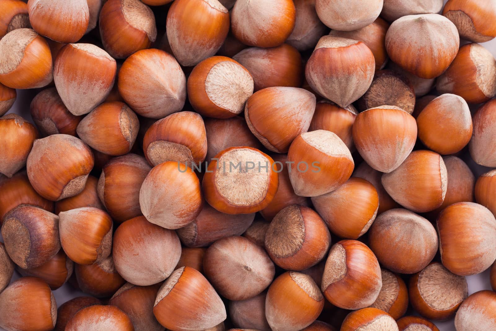 group of hazelnuts in husks close up