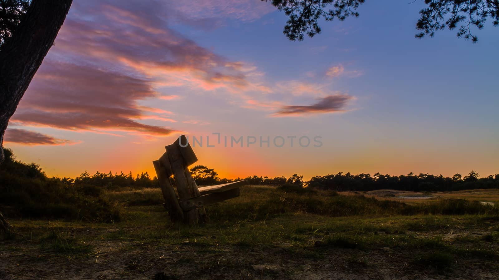 Bench in summer sunset by frankhoekzema