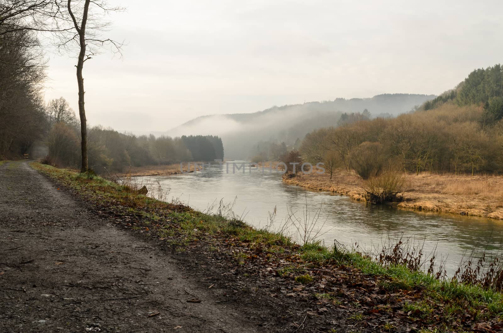 Solitary path running along the riverbank. It is cold, quiet and foggy outside