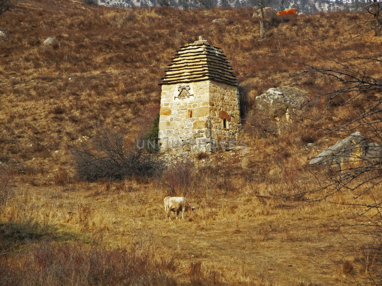 Towers Of Ingushetia. Ancient Architecture And Ruins