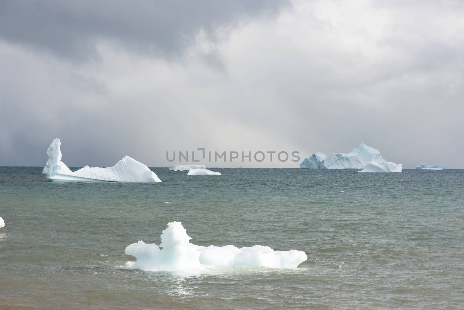 Beautiful icebergs in the sun and in front of a dark sky