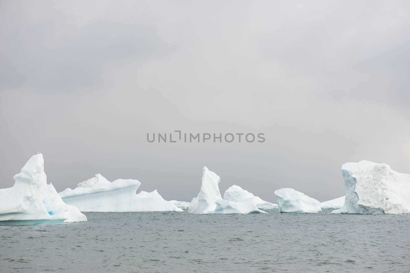 Beautiful icebergs by Arrxxx