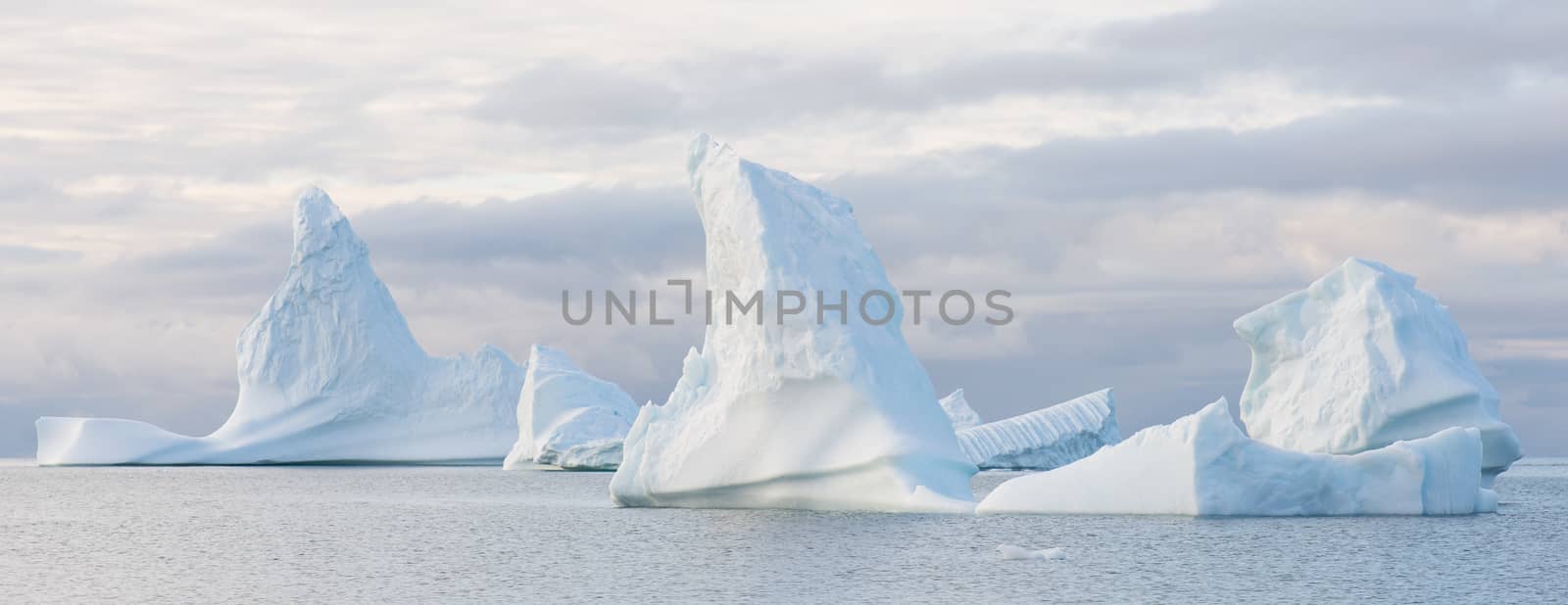 Panorama of beautiful icebergs in the sun and in front of a dark sky