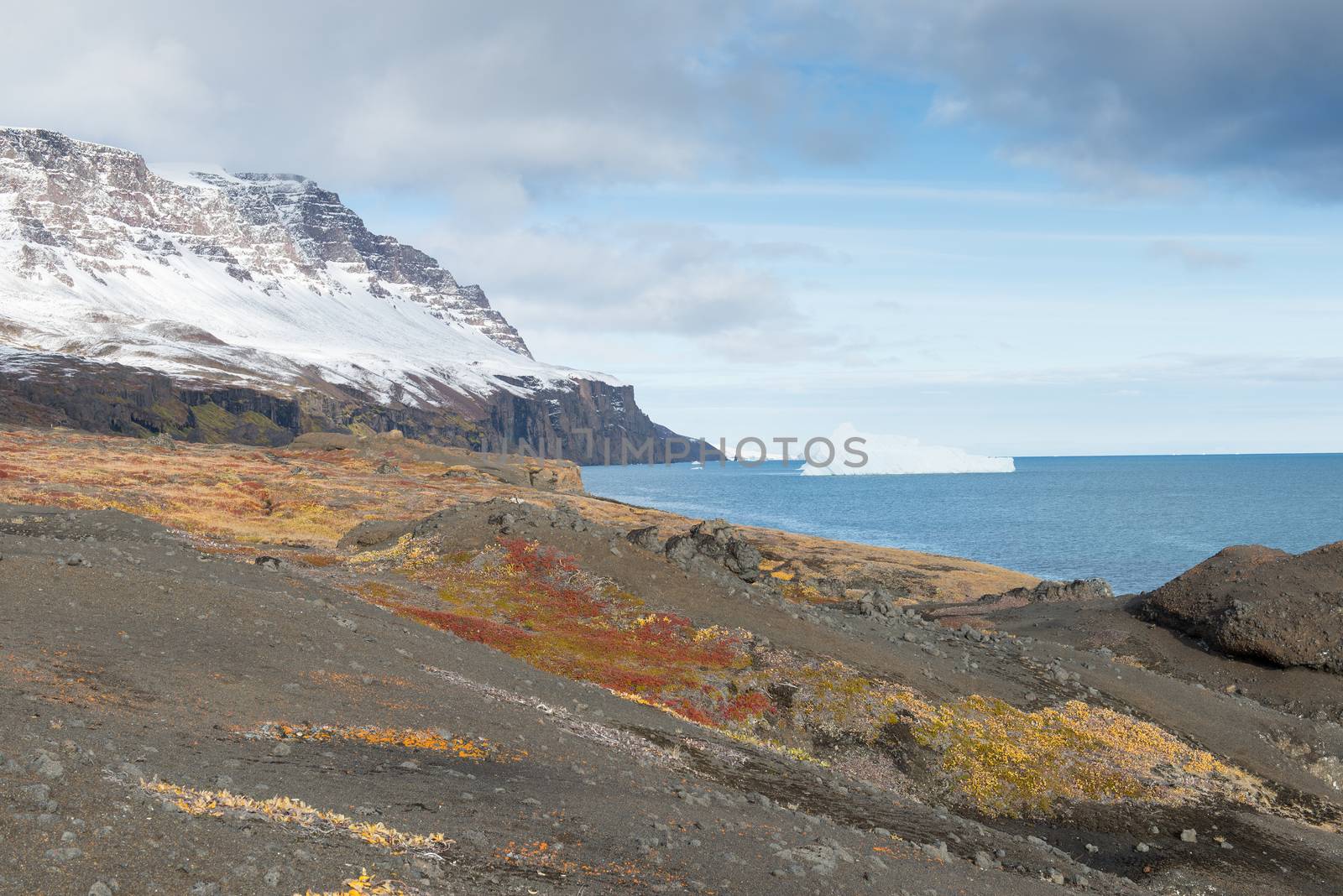 Arctic landscape by Arrxxx