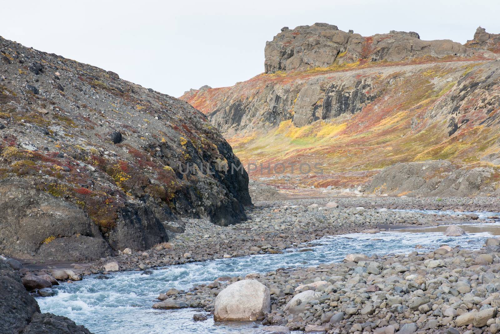 A river in the arctic during summer and autumn with colorful vegetation