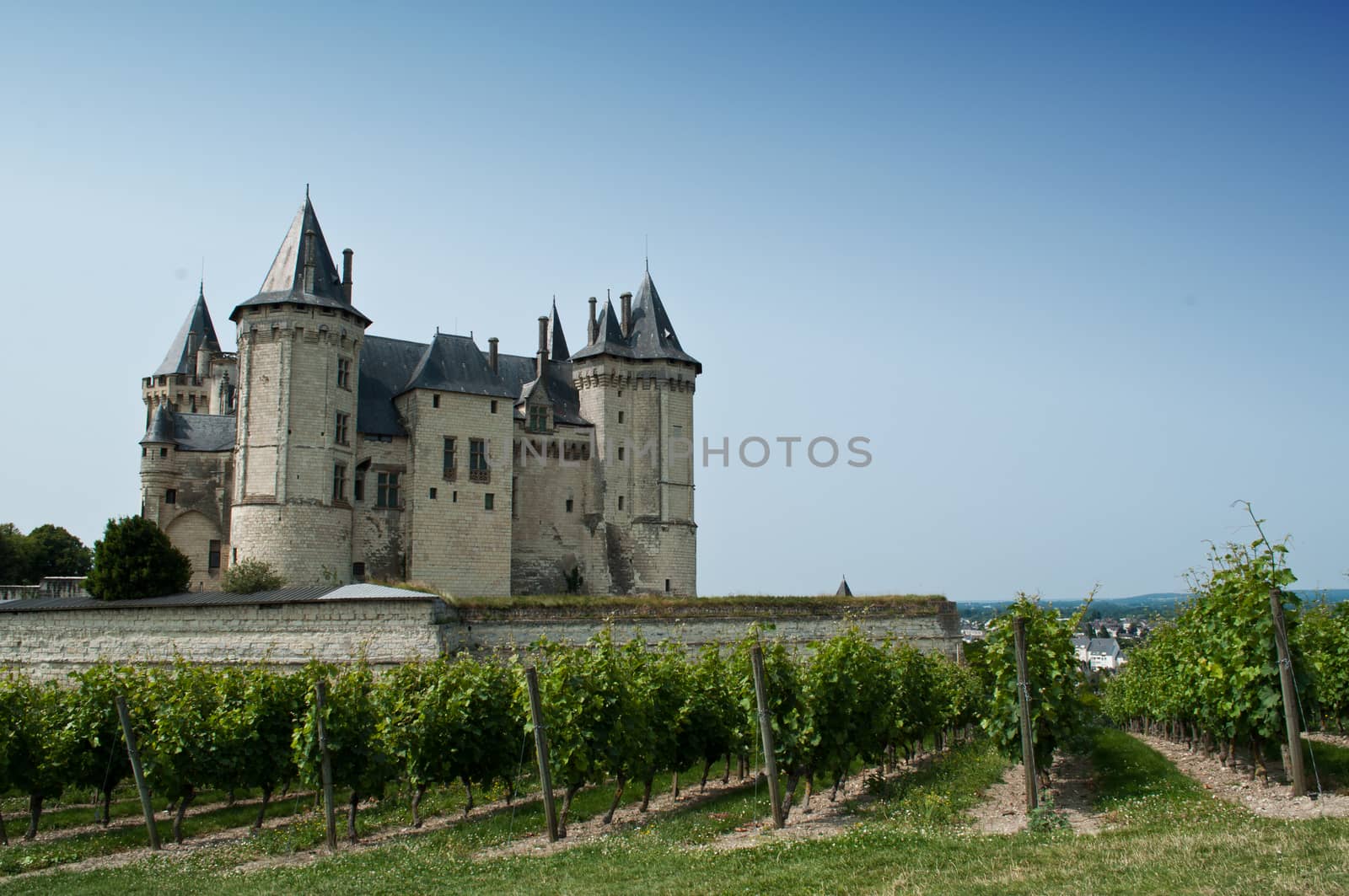 Saumur historic Castle and wine 