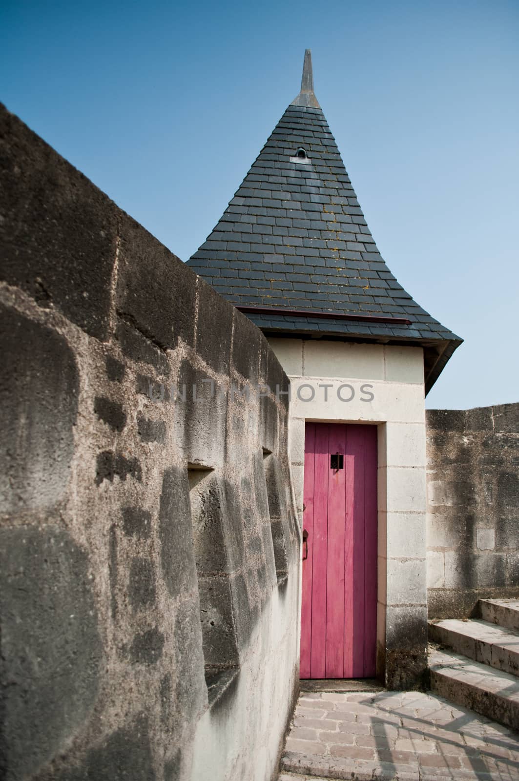 Saumur Castle by NeydtStock