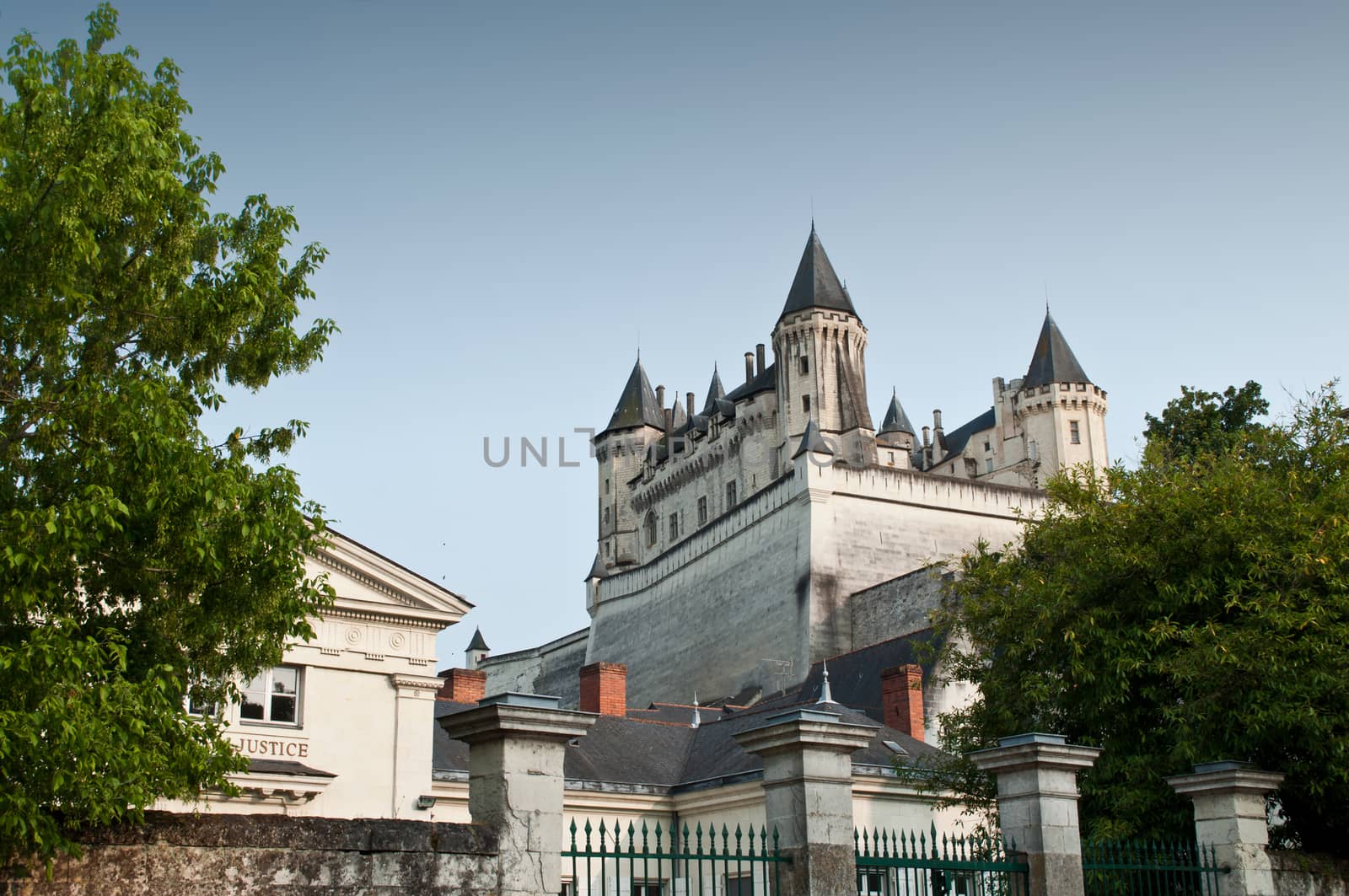 Saumur castle by NeydtStock