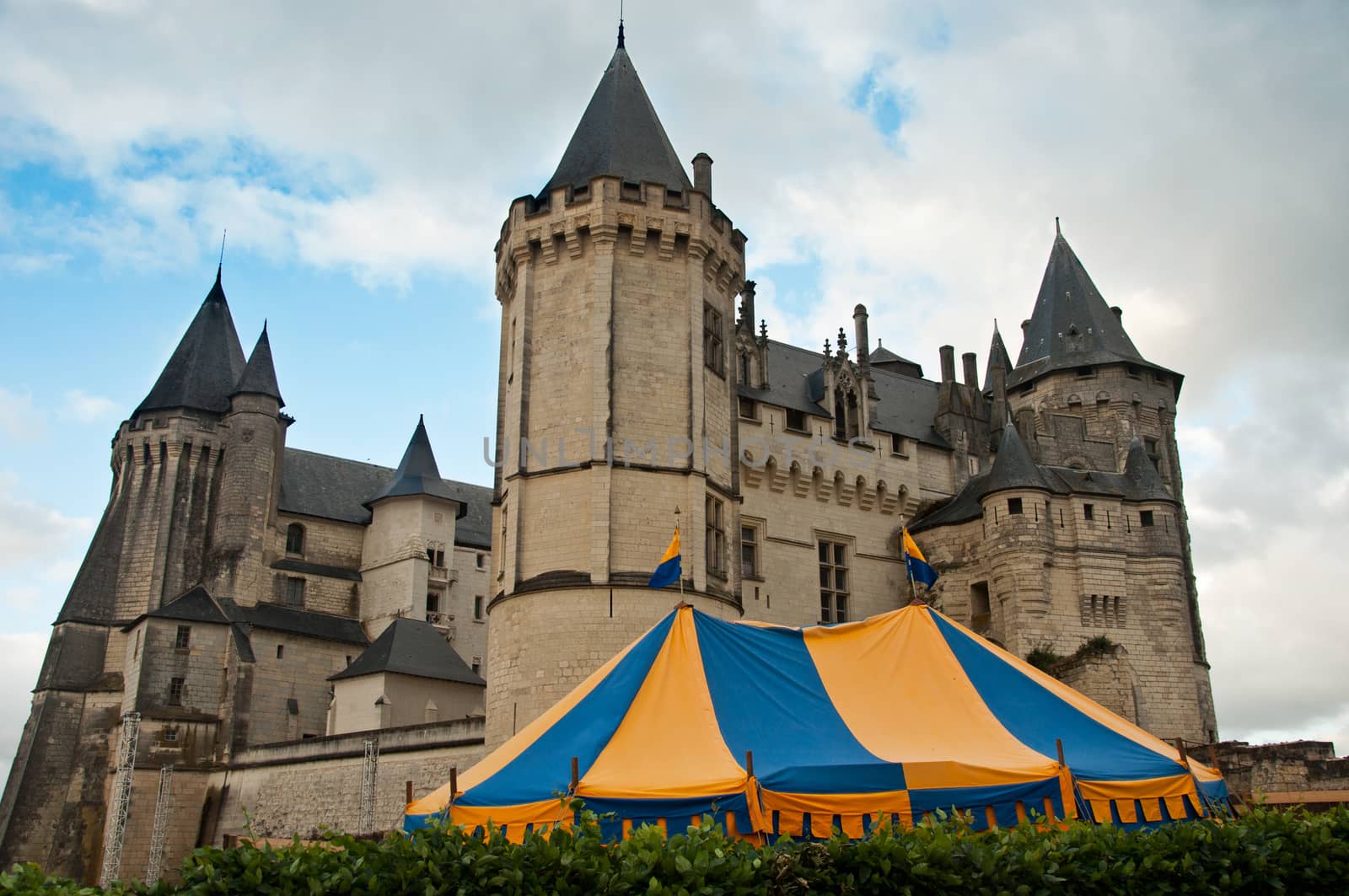 Saumur Castle by NeydtStock